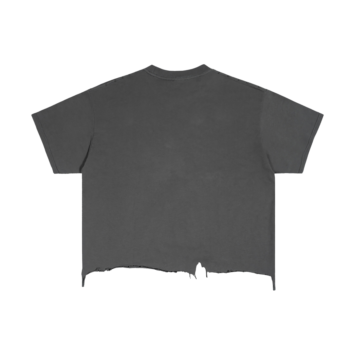 Your Highness Distressed Tee